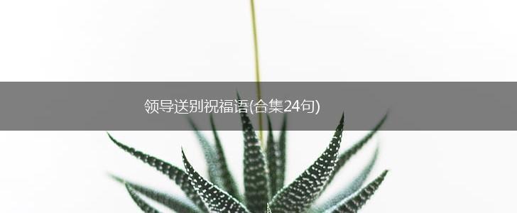 领导送别祝福语(合集24句),第1张