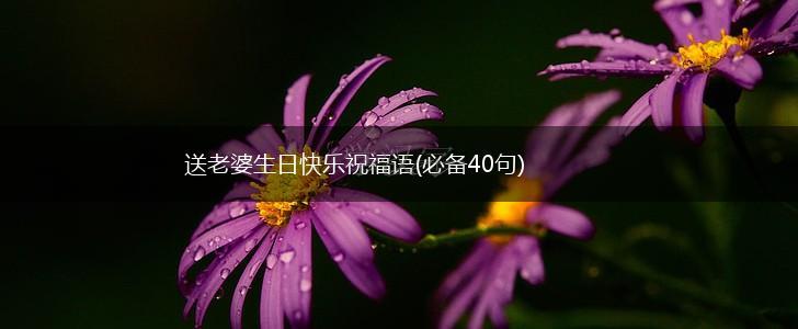 送老婆生日快乐祝福语(必备40句),第1张