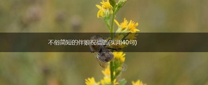 不俗简短的伴娘祝福语(实用40句),第1张