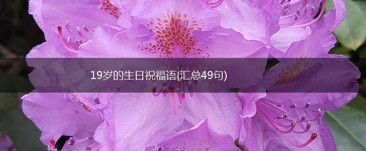 19岁的生日祝福语(汇总49句),第1张