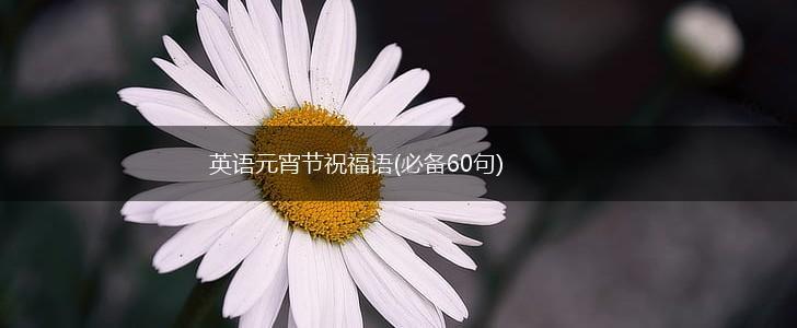 英语元宵节祝福语(必备60句),第1张