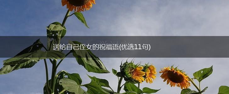 送给自己侄女的祝福语(优选11句),第1张