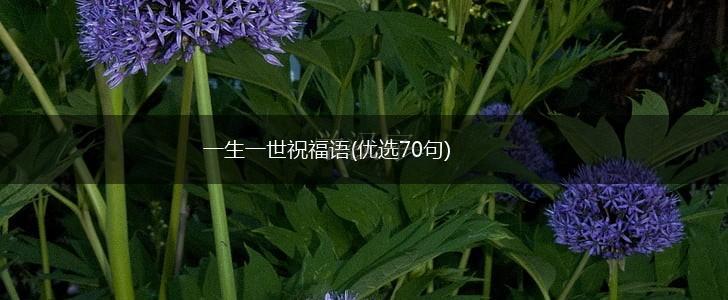 一生一世祝福语(优选70句),第1张