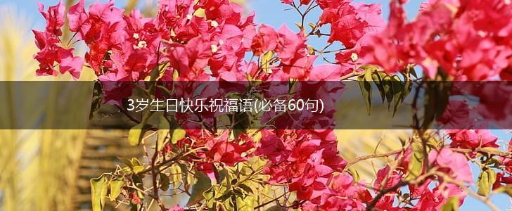 3岁生日快乐祝福语(必备60句),第1张