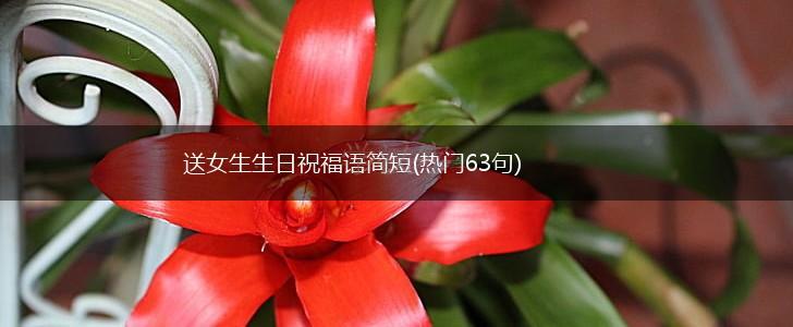 送女生生日祝福语简短(热门63句),第1张