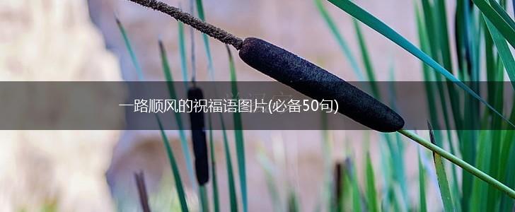 一路顺风的祝福语图片(必备50句),第1张