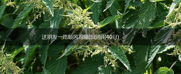 送朋友一路顺风祝福语(通用40句),第1张