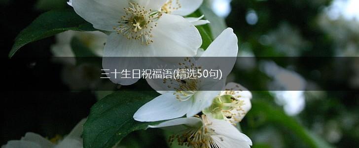 三十生日祝福语(精选50句),第1张