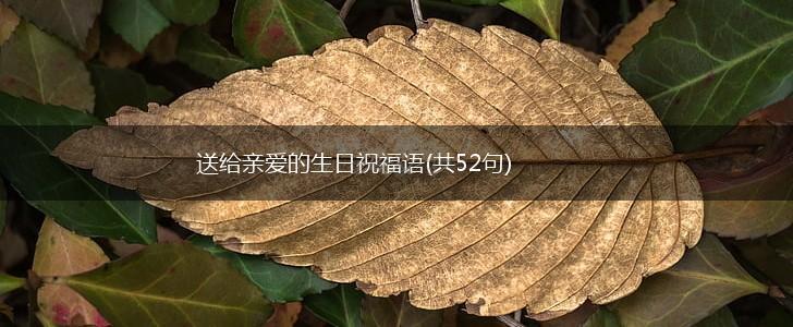 送给亲爱的生日祝福语(共52句),第1张