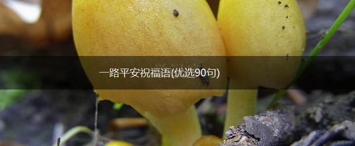 一路平安祝福语(优选90句),第1张