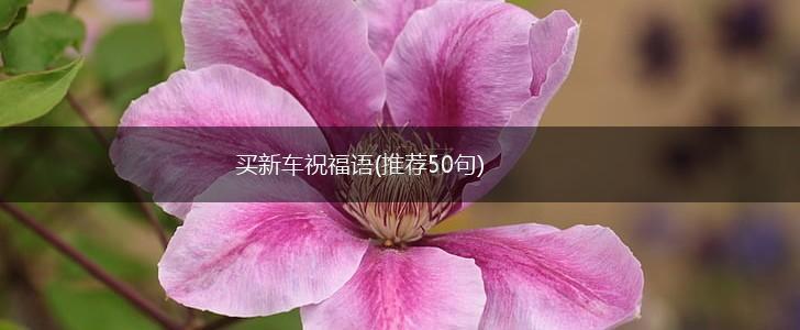 买新车祝福语(推荐50句),第1张