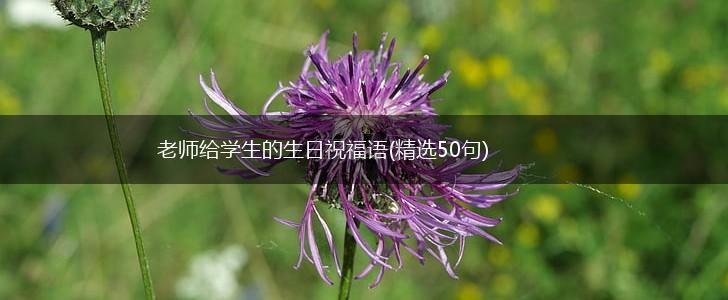 老师给学生的生日祝福语(精选50句),第1张