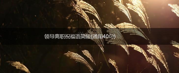 领导离职祝福语简短(通用40句),第1张