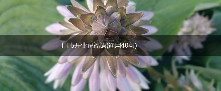 门市开业祝福语(通用40句),第1张