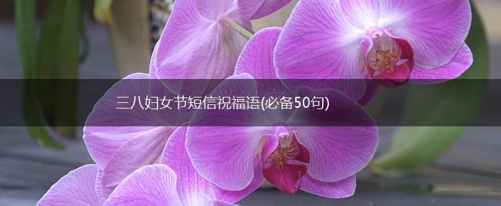 三八妇女节短信祝福语(必备50句),第1张