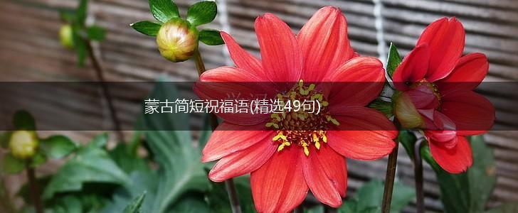 蒙古简短祝福语(精选49句),第1张