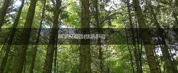 两字祝福语(优选8句),第1张