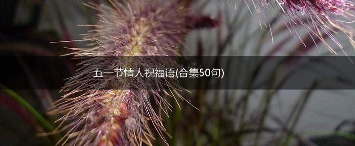 五一节情人祝福语(合集50句),第1张