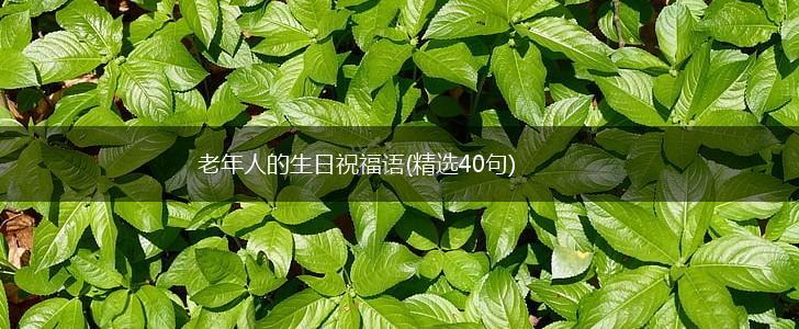 老年人的生日祝福语(精选40句),第1张