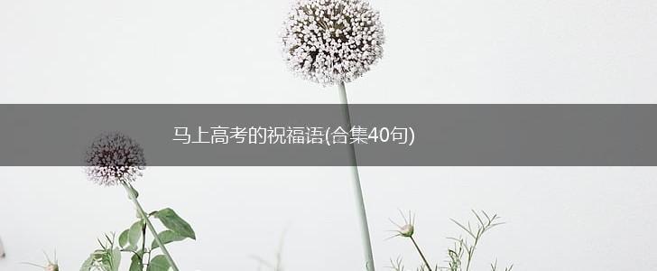 马上高考的祝福语(合集40句),第1张