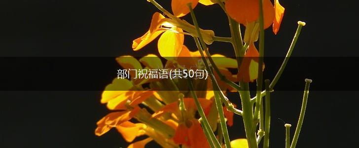 部门祝福语(共50句),第1张