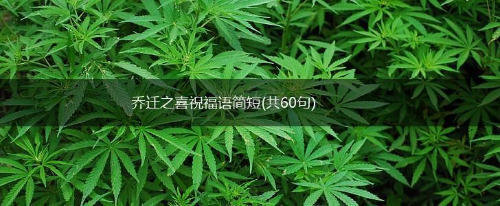 乔迁之喜祝福语简短(共60句),第1张