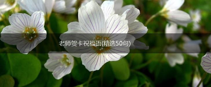 老师贺卡祝福语(精选50句),第1张