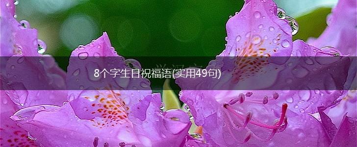 8个字生日祝福语(实用49句),第1张