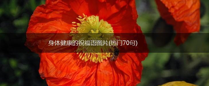 身体健康的祝福语图片(热门70句),第1张