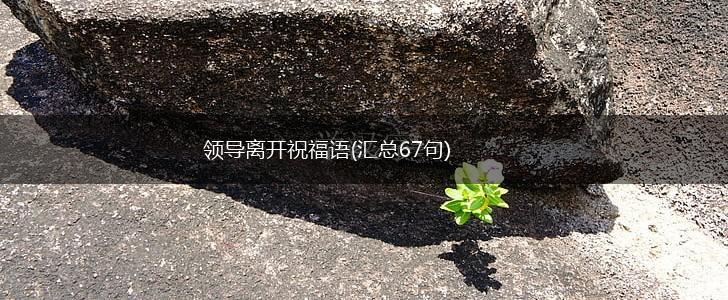 领导离开祝福语(汇总67句),第1张