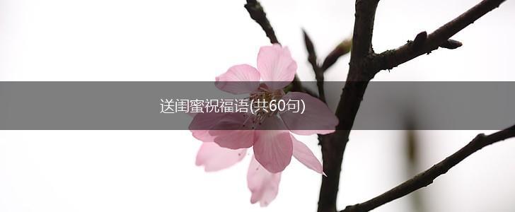 送闺蜜祝福语(共60句),第1张