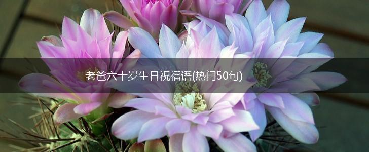 老爸六十岁生日祝福语(热门50句),第1张