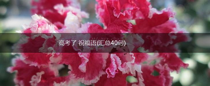 高考了 祝福语(汇总40句),第1张