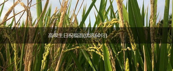 高级生日祝福语(优选60句),第1张