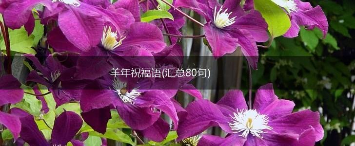 羊年祝福语(汇总80句),第1张