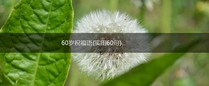 60岁祝福语(实用60句),第1张