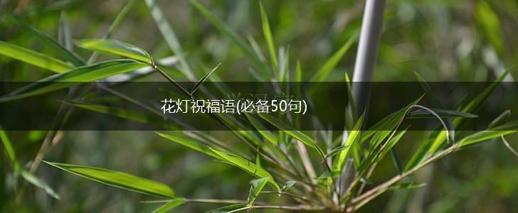 花灯祝福语(必备50句),第1张