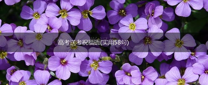 高考送考祝福语(实用58句),第1张