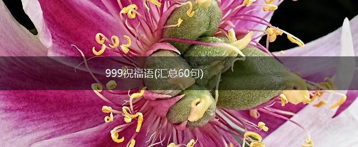 999祝福语(汇总60句),第1张