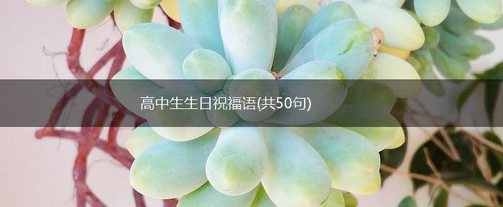 高中生生日祝福语(共50句),第1张