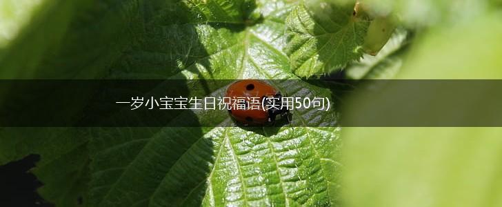 一岁小宝宝生日祝福语(实用50句),第1张