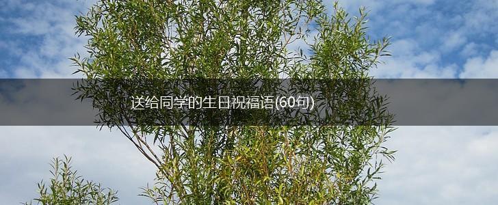 送给同学的生日祝福语(60句),第1张