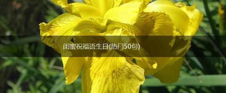 闺蜜祝福语生日(热门50句),第1张