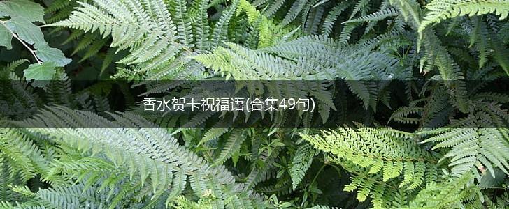 香水贺卡祝福语(合集49句),第1张