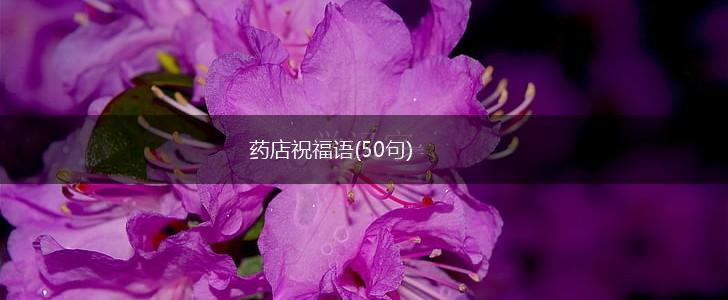 药店祝福语(50句),第1张