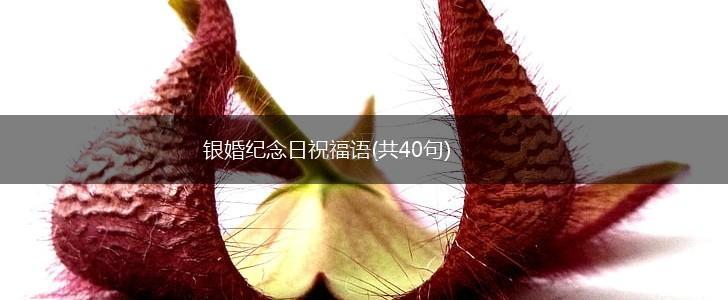 银婚纪念日祝福语(共40句),第1张