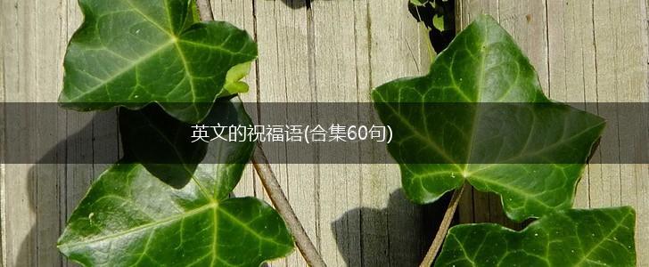 英文的祝福语(合集60句),第1张