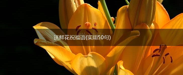 送鲜花祝福语(实用50句),第1张