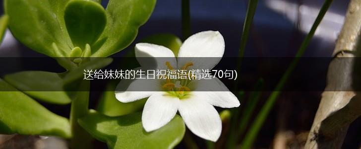 送给妹妹的生日祝福语(精选70句),第1张