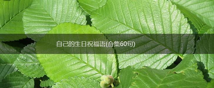 自己的生日祝福语(合集60句),第1张